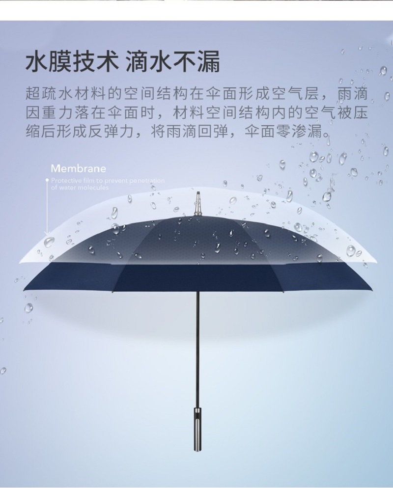 b13819f53e8c44948a34ec5fb1566f96.jpg